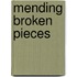 Mending Broken Pieces