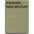 Mesostic Laboratorium