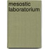 Mesostic Laboratorium