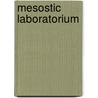 Mesostic Laboratorium by Alec Finlay