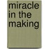 Miracle in the Making