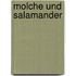 Molche und Salamander