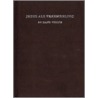 Jezus als vreemdeling by H. Visser