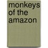 Monkeys Of The Amazon