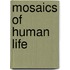 Mosaics Of Human Life