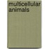 Multicellular Animals