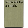Multicellular Animals by Peter Ax