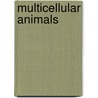 Multicellular Animals door Peter Ax