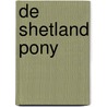 De Shetland pony by Y. van Tienen