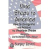 Nine Steps to America by Sunjay Zaveri