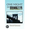 One Night in Brooklyn door David Gonano