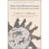 One Vast Winter Count