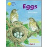 Ort:jackdaws (1) Eggs by David Oakden