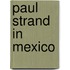 Paul Strand In Mexico
