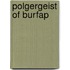 Polgergeist Of Burfap
