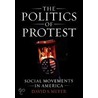 Politics Of Protest P door David Meyer
