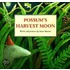 Possum's Harvest Moon