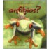 Que Son los Anfibios?