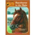 Racehorse in the Rain