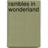 Rambles In Wonderland door Edwin James Stanley