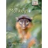 Red Colobus Monkeys C