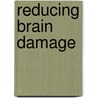Reducing Brain Damage by National Audit Office