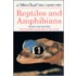 Reptiles & Amphibians