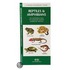 Reptiles & Amphibians