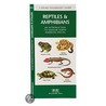Reptiles & Amphibians door James Kavanaugh