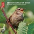 Secret Songs Of Birds