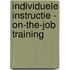 Individuele instructie - on-the-job training