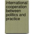 International cooperation between politics and practice