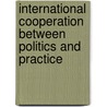 International cooperation between politics and practice door Mei Li Vos