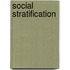 Social Stratification