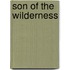 Son Of The Wilderness