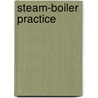 Steam-Boiler Practice door Walter Bradlee Snow