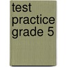 Test Practice Grade 5 door Thomas B. Davis