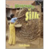 The Biography of Silk door Carrie Gleason