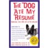 The Dog Ate My Resume