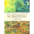 Het verhaal van de schepping