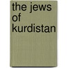 The Jews Of Kurdistan door Raphael Patai