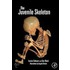 The Juvenile Skeleton