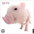 The Pig 2011 Calendar