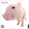 The Pig 2011 Calendar door Universe Publishing