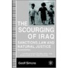 The Scourging Of Iraq door Geoff Simons