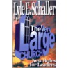 The Very Large Church by Lyle E. Schaller
