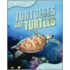 Tortoises And Turtles