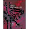 Tumour Angiogenesis C door Lewis Ferrara Bicknell