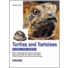 Turtles and Tortoises by Hartmut Wilke