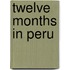 Twelve Months In Peru